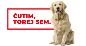 SD-Cutim-torej-sem-2