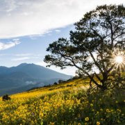 Podnebna in okoljska kriza