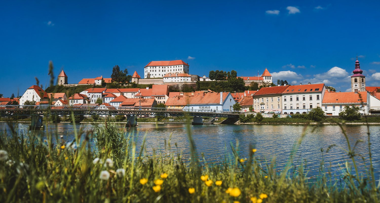 Ptuj z Dravo in Ptujskim gradom